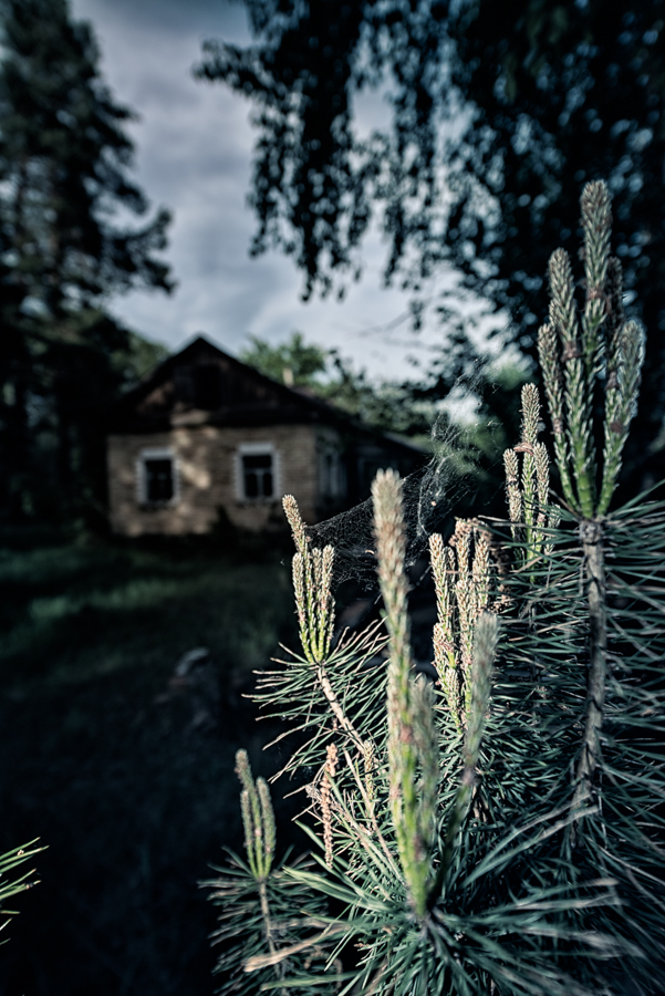 Černobyl, Pripjať, Kyjev