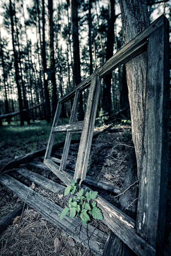 Černobyl, Pripjať, Kyjev