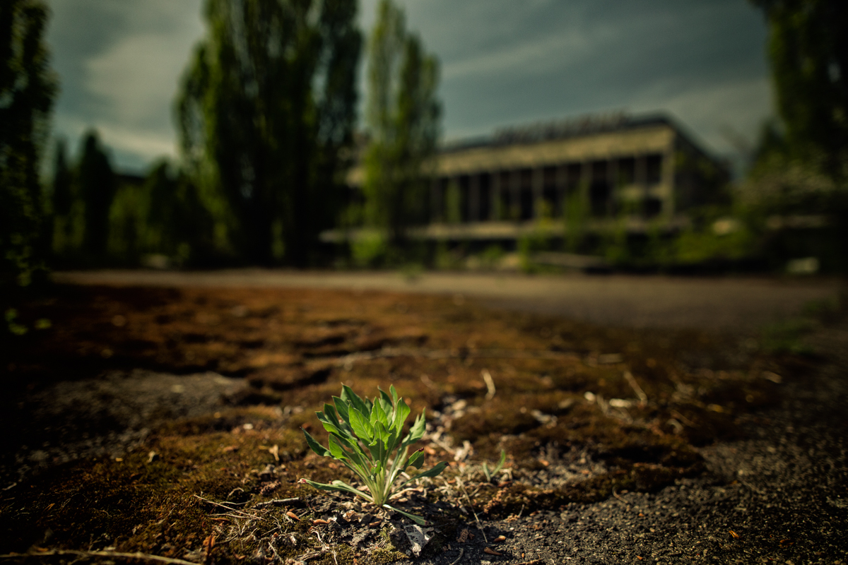 Černobyl, Pripjať, Kyjev