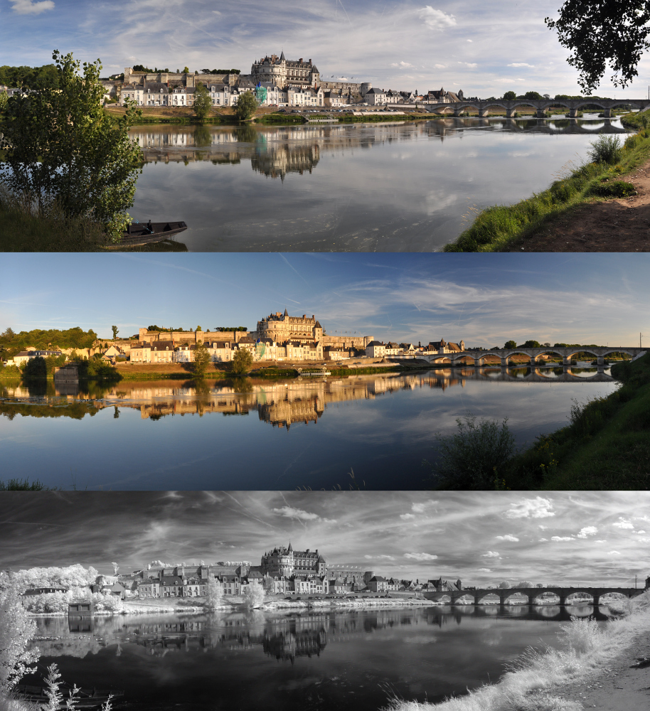 Château de Amboise 