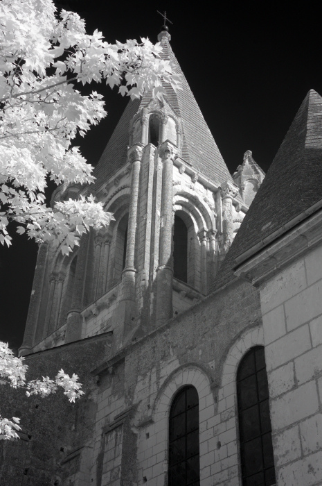 Château de Loches