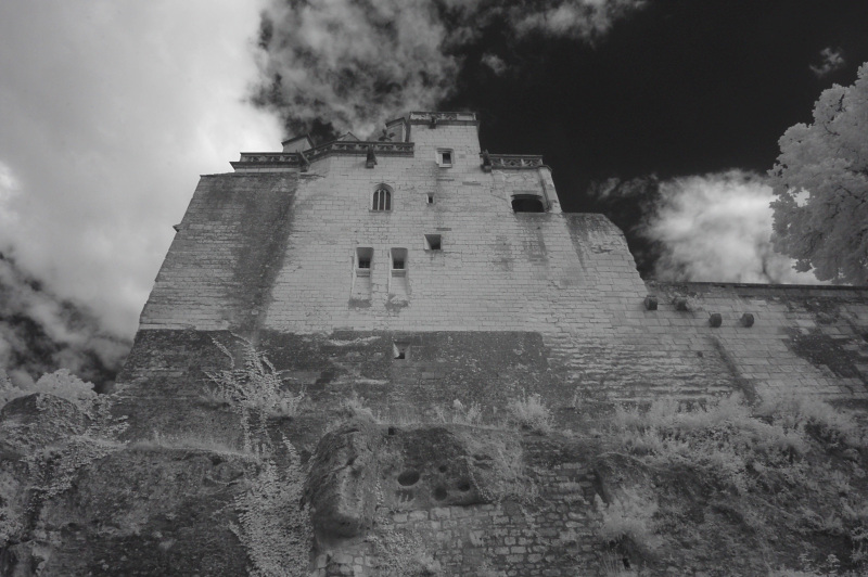 Château de Loches