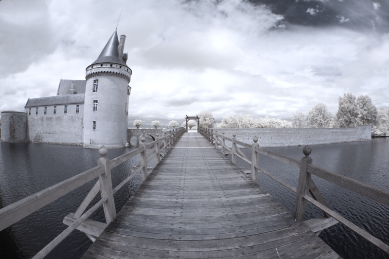 Château de Sully sur Loire