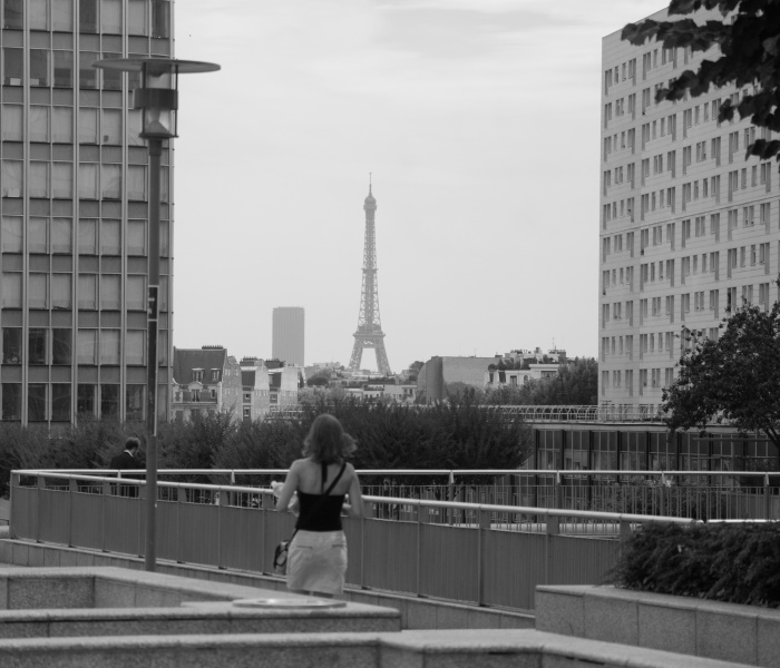 La chasse à la Tour Eiffel