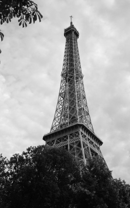 La Tour Eiffel florissante