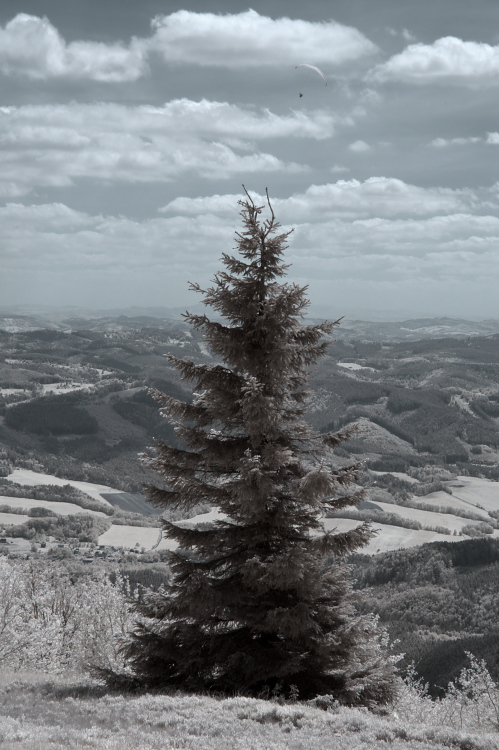 Panorama Beskyd
