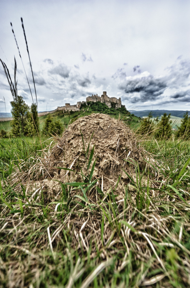 Spišský hrad