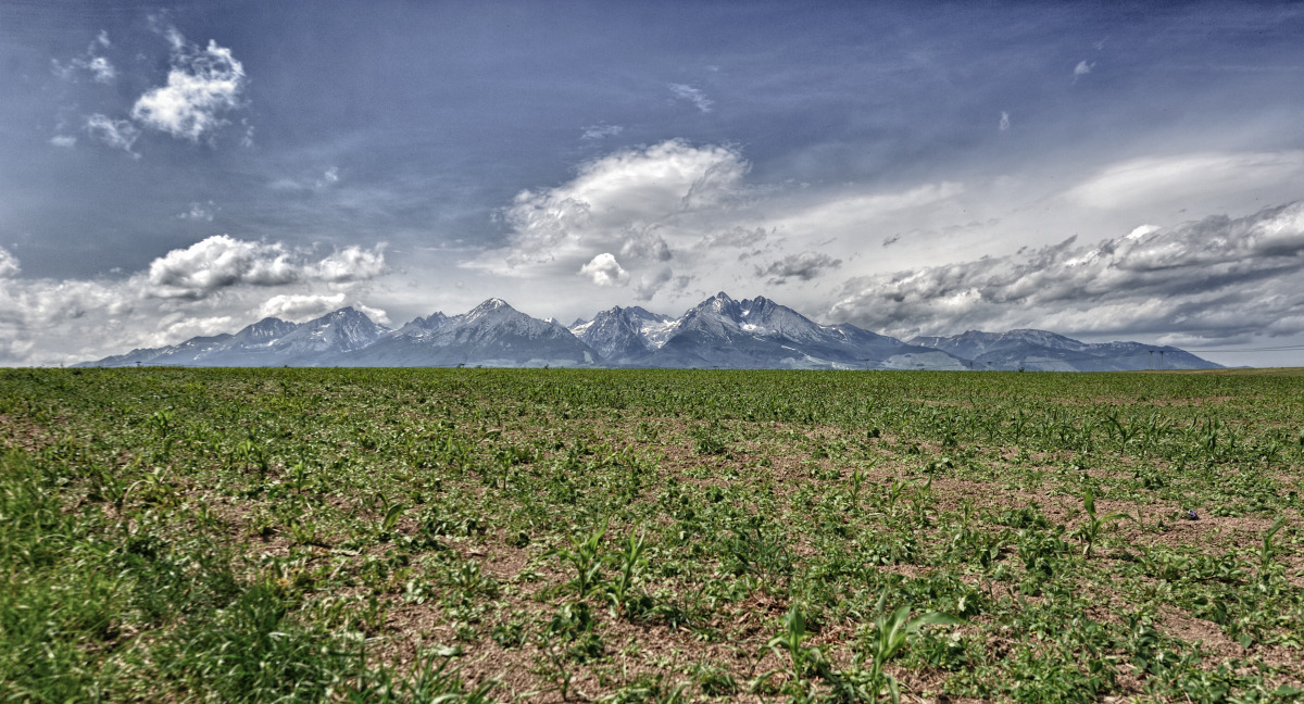 Vysoké Tatry