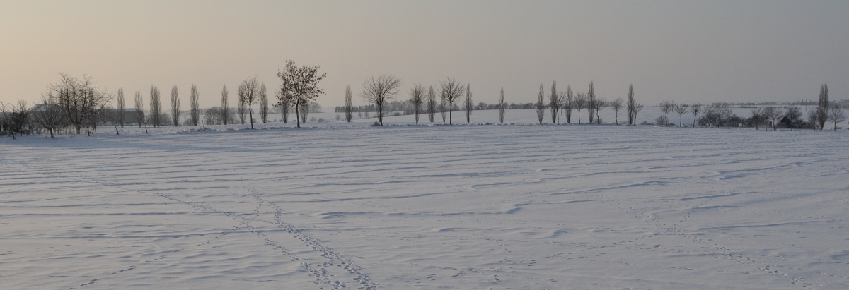Zimní krajina