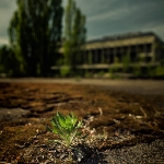 Černobyl, Pripjať, Kyjev | fotografie