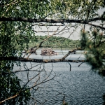 Černobyl, Pripjať, Kyjev | fotografie