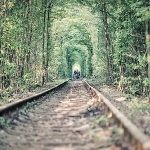 Černobyl, Pripjať, Kyjev | fotografie