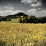 Lom Vršany | fotografie