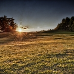 Na golfovém hřišti | fotografie