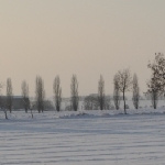 Zimní krajina | fotografie